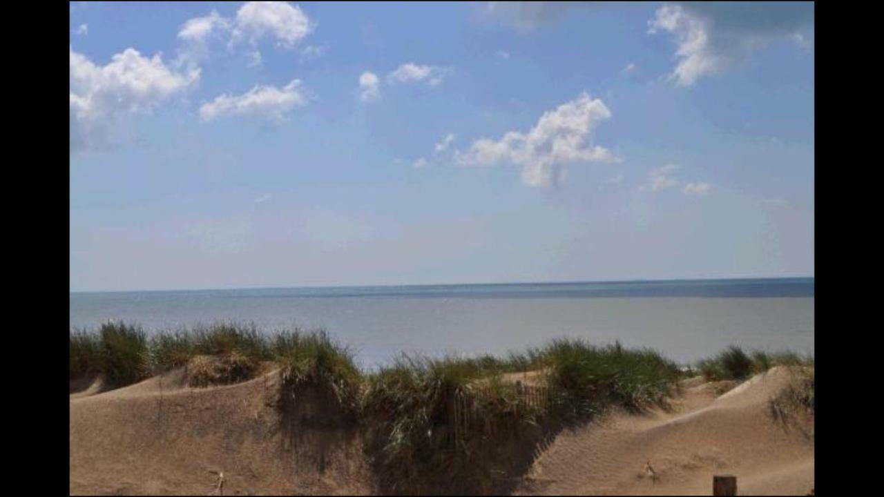 Saltwater Cottage Camber Eksteriør bilde
